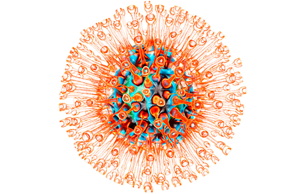 Abbildung vom Herpes-simplex-Virus